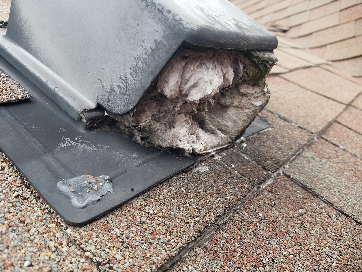 Dryer Vent Cleaning Cumming, Gainesville Chimney & Dryer Vent